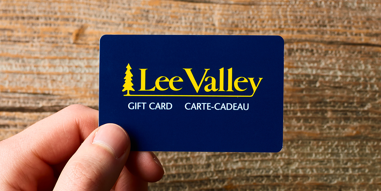 https://assetssc.leevalley.com/en-ca/-/media/images/01_homepage/hero-feature-one-half/09-2019/gifts_gift-card_57_hfh.jpg?la=en-ca&revision=630a474e-290b-48fc-951a-3ddb25d31a1a&modified=20190527140732&hash=E9E1B7AF70D0261D4B99A809C9A7619F41866080