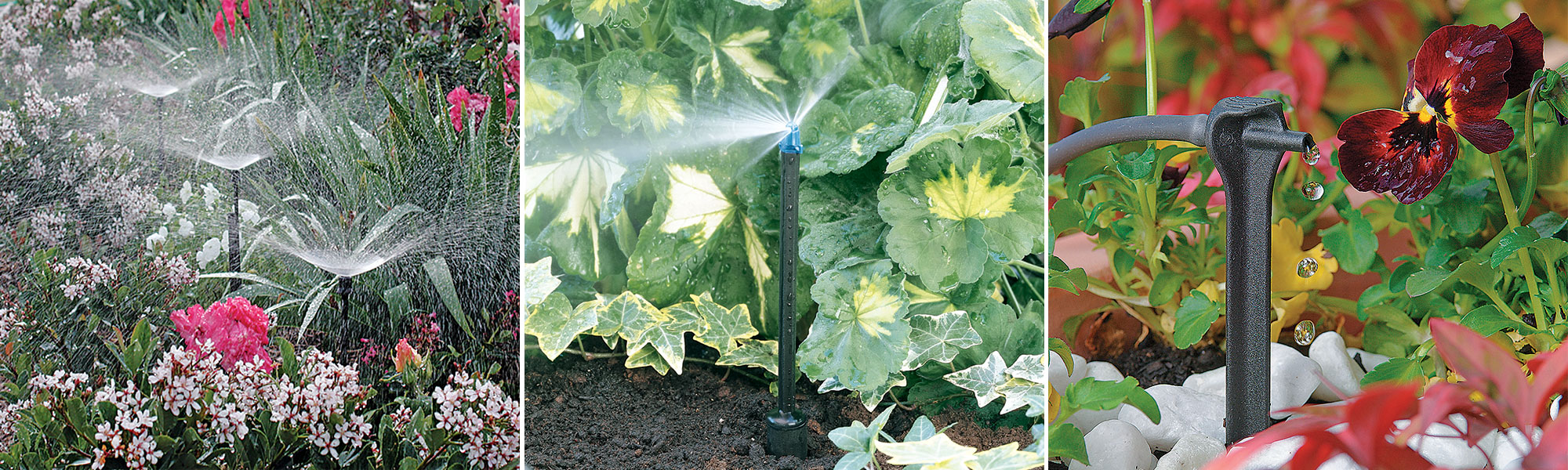 Irrigation goutte à goutte : Planifier et installer un système d