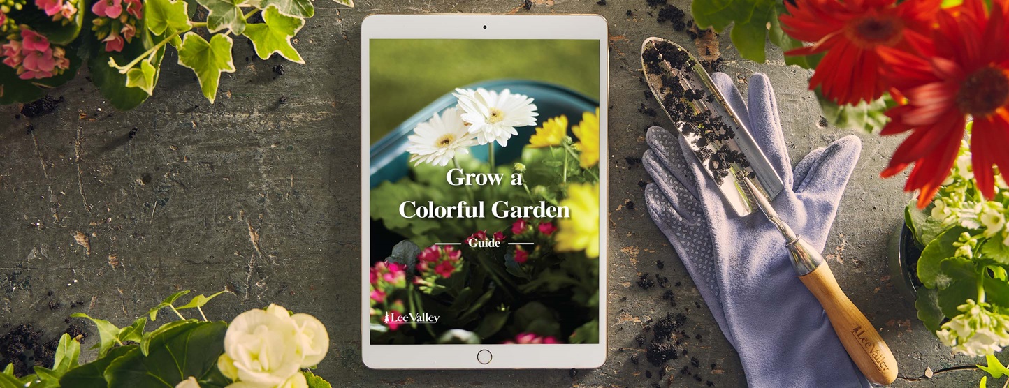 Digital Guide – Grow A Colorful Garden