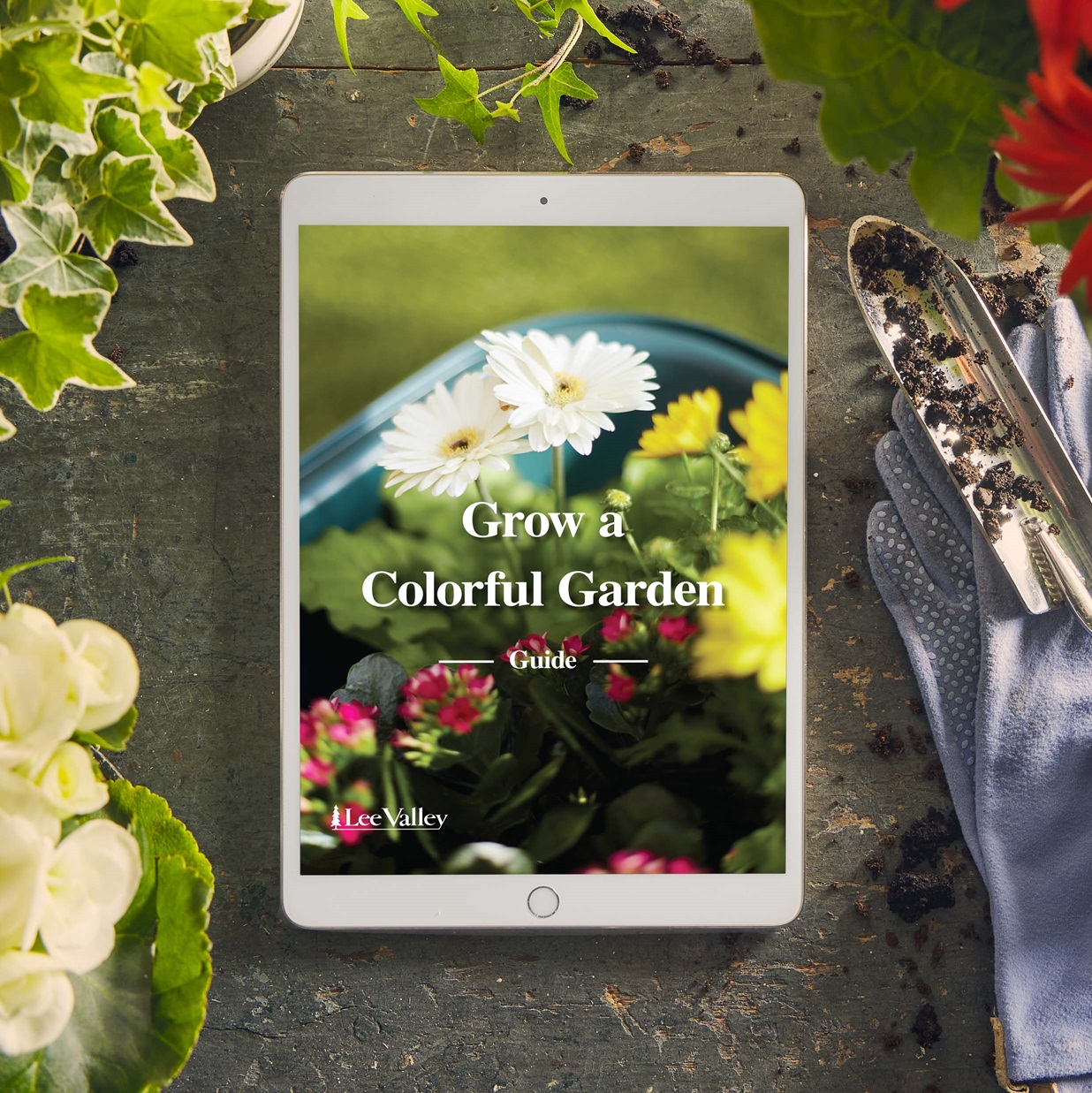 Digital Guide – Grow A Colorful Garden
