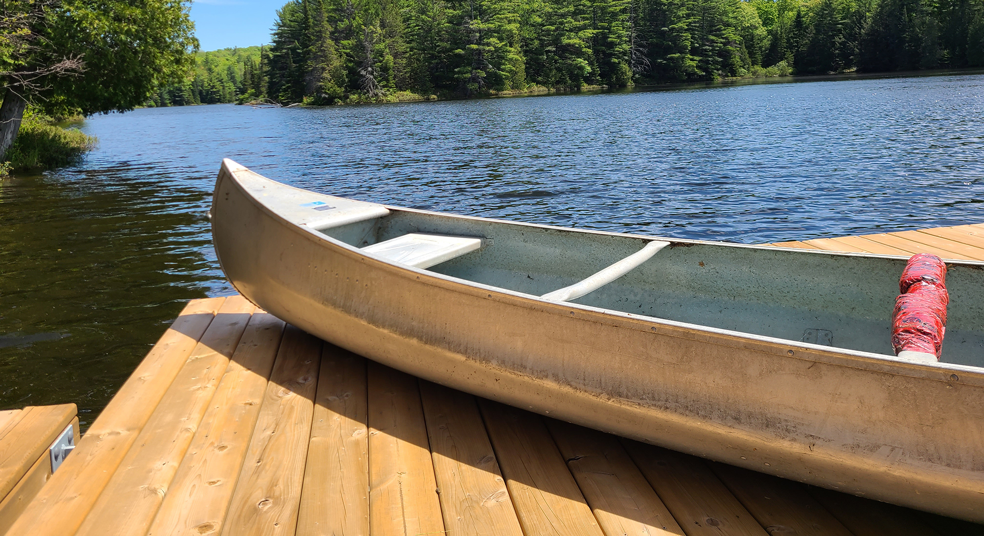 Unpainted canoe on dock.
