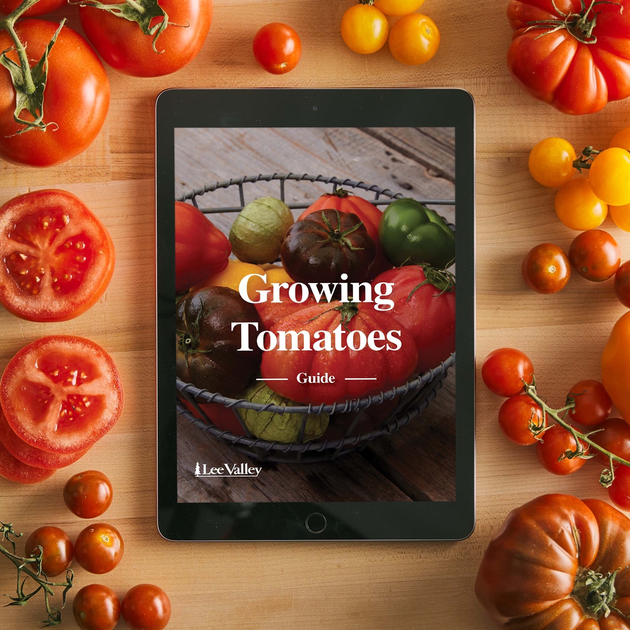 Guide: Growing Tomatoes